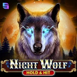 Copertina Night Wolf Hold and Hit